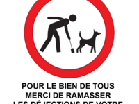 Avis aux propriétaires de chiens