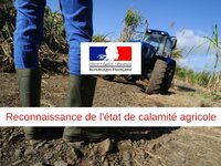 Calamités Agricoles